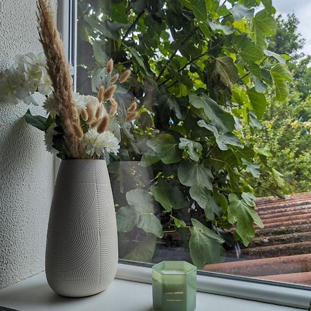 Evasion Verte En Alsace ! Niederschaeffolsheim 外观 照片